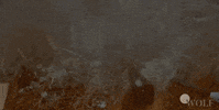 Chicago Fire GIF by Wolf Entertainment