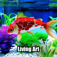 Koi Fish Art GIF by TheConfishius
