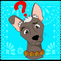 Puebla GIF by MUITEC