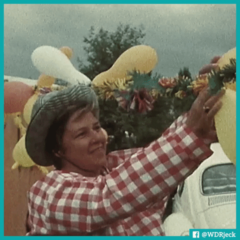 balloon GIF by WDR