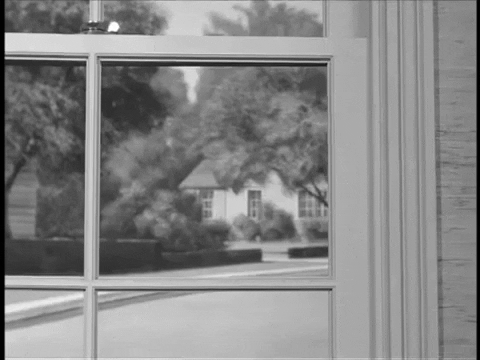 cartertwin giphygifmaker GIF