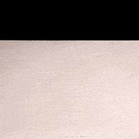 cut out stop motion GIF by Visual Num Nums