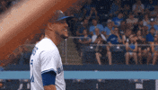 Blue Jays Smile GIF by Toronto Blue Jays