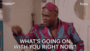 What Is Going On GIF by HULU