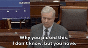 Lindsey Graham GIF by GIPHY News