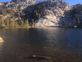 Cinemagraph GIF by Justin