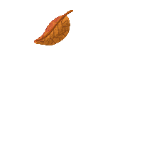 Laurencewuilkin automne feuille mondemeilleur Sticker