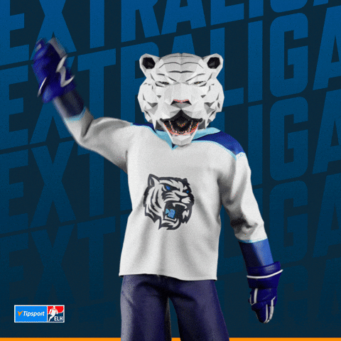 Hockey Hokej GIF by Tipsport extraliga