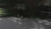 usa network wwe GIF