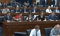 news halloween costume batgirl katie porter GIF