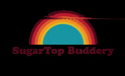 SugarTopBuddery giphygifmaker rainbow vhs stb GIF