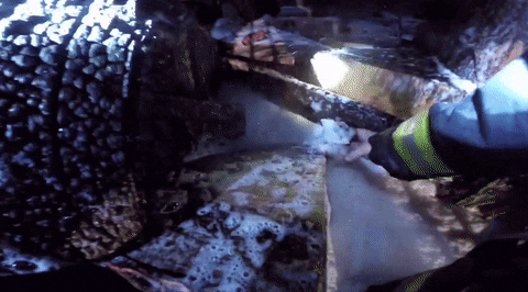 GIF by Mashable