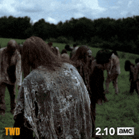 twd GIF by The Walking Dead