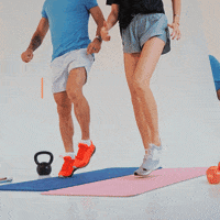 Fitlavia_sk  GIF