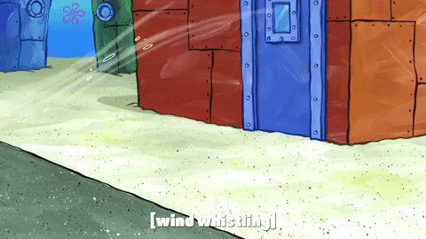 season 9 gary's new toy GIF by SpongeBob SquarePants