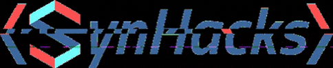 synhacks giphygifmaker GIF