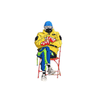 Bernie Sanders Meme Sticker