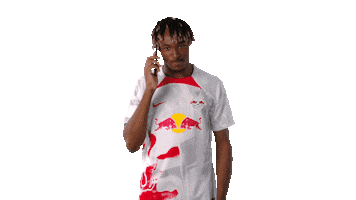 Football Hello Sticker by RB Leipzig