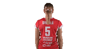 Sport Volleyball Sticker by LP Viesti