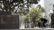 torey pudwill skateboarding GIF
