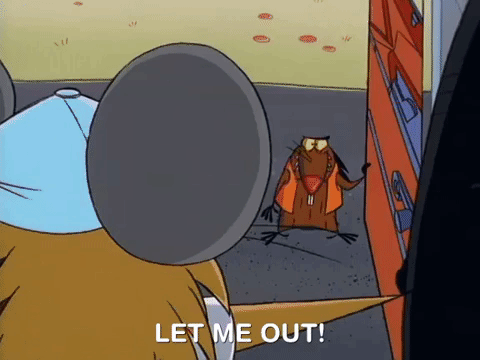 nickrewind giphydvr nicksplat angry beavers giphyab017 GIF