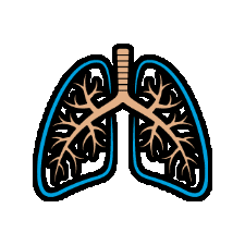 termedia giphygifmaker lungs Sticker