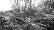 mad black and white GIF by Okkult Motion Pictures