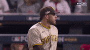 Lets Go Baseball GIF by MLB