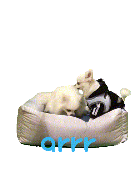 아르르 Sticker by arrr_official