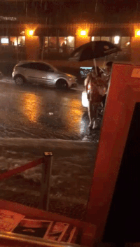 GIF by Demic