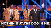 steve harvey dog GIF by ABC Network