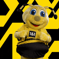 Soccer Futbol GIF by Borussia Dortmund