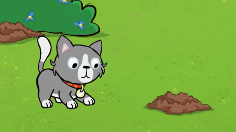ScholasticEntertainment giphyupload cat hello friends GIF
