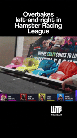 Overtakes left-and-right in Hamster Racing League