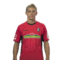 Swipe Up Sc Freiburg Sticker by Bundesliga