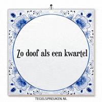 Humor Doof GIF by Tegelspreuken.nl