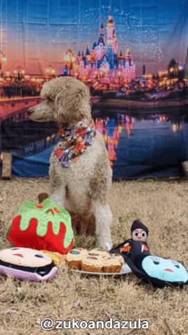 Villains Barkday GIF by Geekster Pets