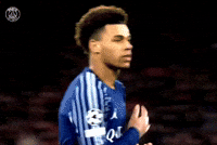 Paris Saint-Germain Psg GIF