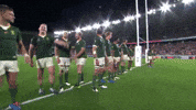 World Cup Sport GIF by World Rugby