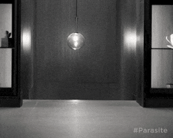 Shocked Black And White GIF by Madman Films