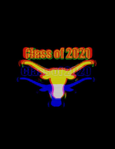 Utexasbba austin ut university of texas longhorn GIF