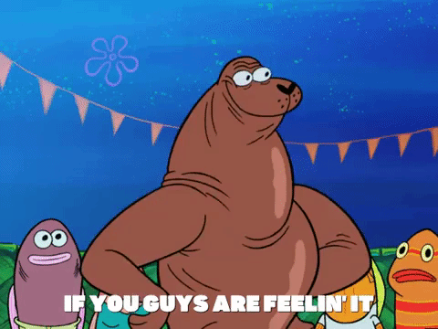 season 6 GIF by SpongeBob SquarePants