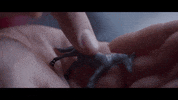 theoddcreative horse pet horses stroke GIF