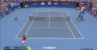 Shapo Covers the Net