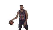 Bouncing Liga Endesa Sticker by ACB