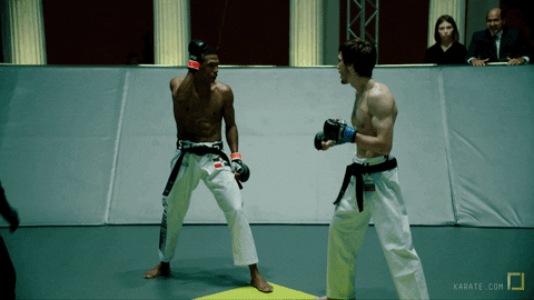 mma fighters GIF by Karate Combat