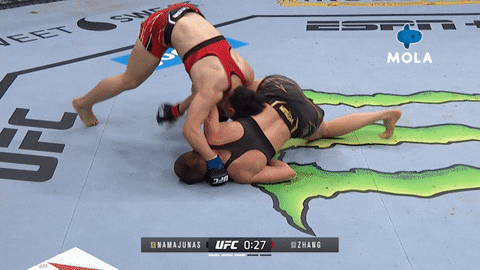 Fight Smash GIF by MolaTV