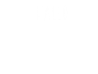 Summer Hello Sticker