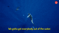 Out of the water