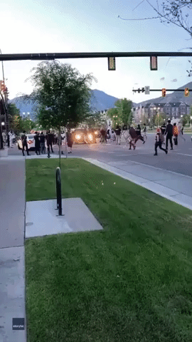 Anti-Racism Protesters Block Intersection and Strike a Vehicle in Provo